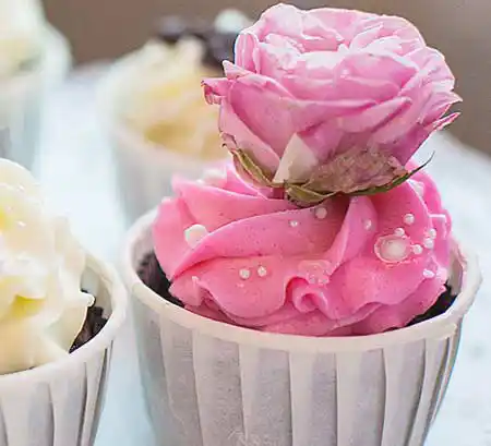 Cupcake mit Schokolade Himbeere, Buttercreme Topping im Swirl Look.