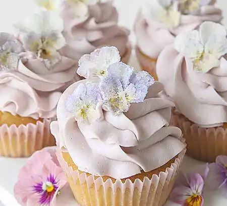 Cupcake mit Swirl-Sahnetopping und Blumendekor.