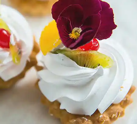 Cupcake mit Buttercreme Topping im Swirl Look und Früchten.