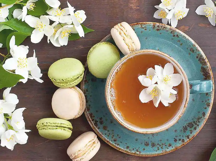 Lindenblütentee in Teetasse mit grünen Macarons