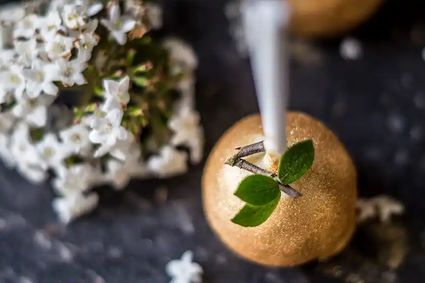 Still mit Cake Pop und Holunderblüten.