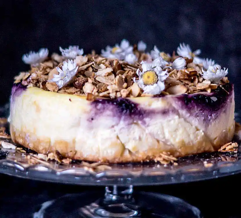 Tablett mit Blaubeer-Käsekuchen.